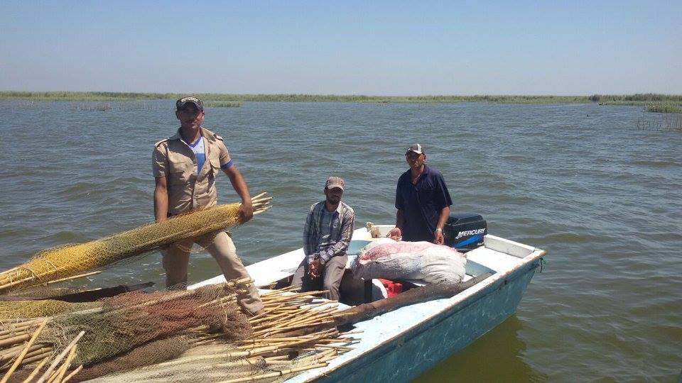  ضبط صياد بتهمة صيد أسماك محظورة بيئيا فى البرلس