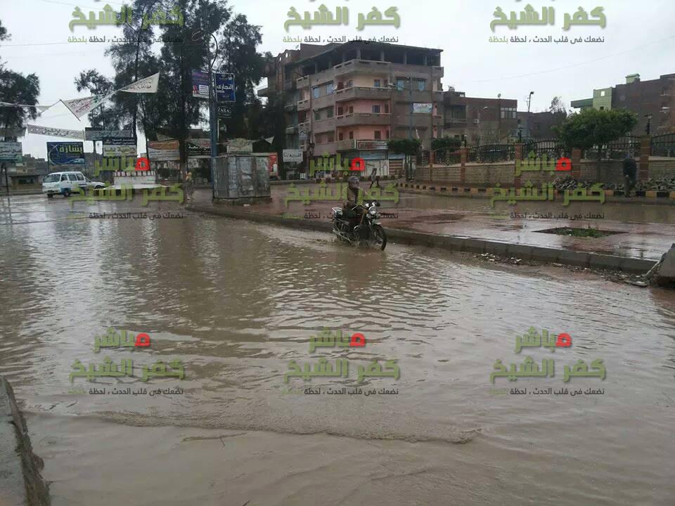  بالصور فوه تغرق في مياه الأمطار ومجلس المدينة في غيبوبة