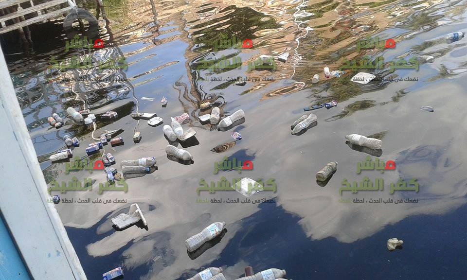  بالصور أهالي فوه بكفر الشيخ :  تلوث مياه النيل ونفوق الأسماك ورائحة المياه الكريهة أصابنا بالأمراض