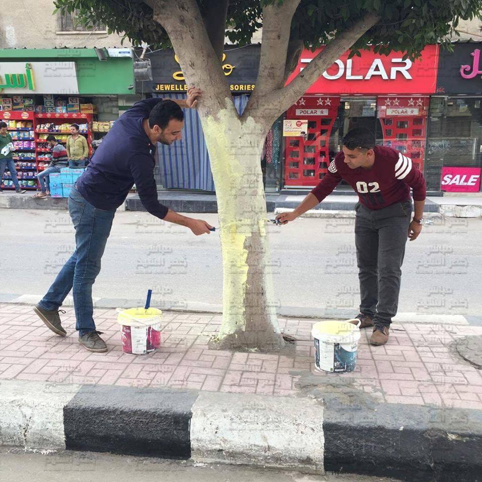  بالصور ... الشباب يُجمل شوارع وميادين كفر الشيخ ضمن حملة «هنبنى ونعمر»