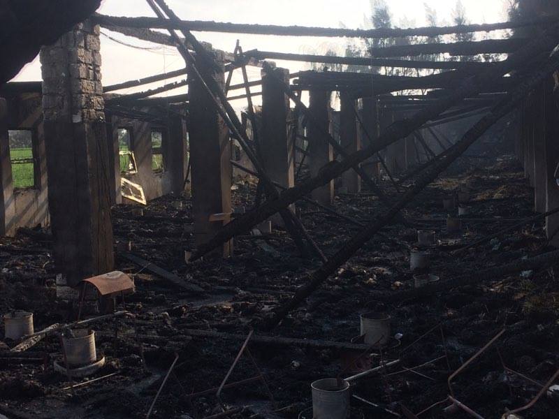  بالصور: حريق فى مزرعة بكفر الشيخ يلتهم 6 آلاف دجاجة والخسائر 500 الف جنيه