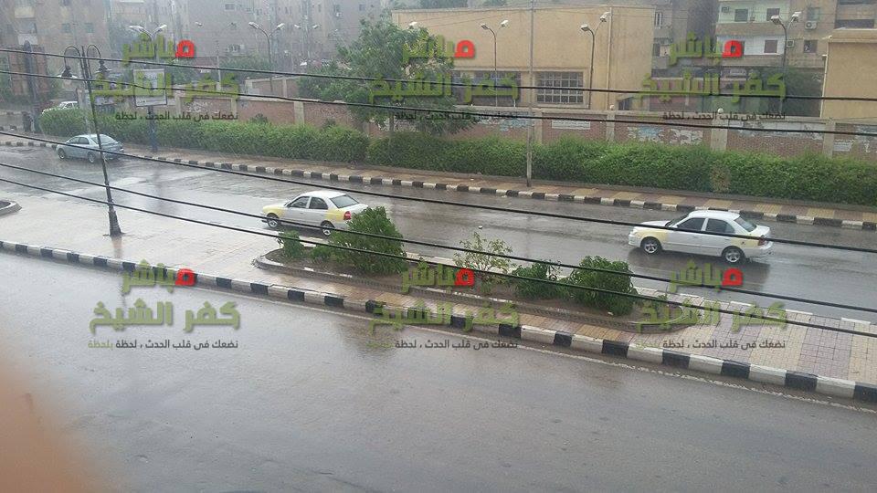  هطول أمطار متوسطة شمال كفر الشيخ ورفع حالة الطوارئ