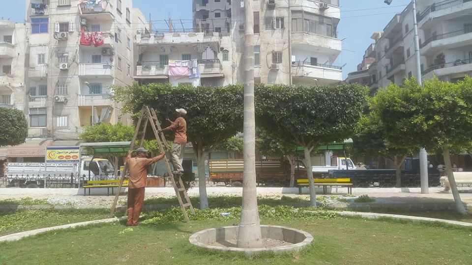   بالصور: الصيانة الدورية لحدائق الميدان الابراهيمى‏ بدسوق