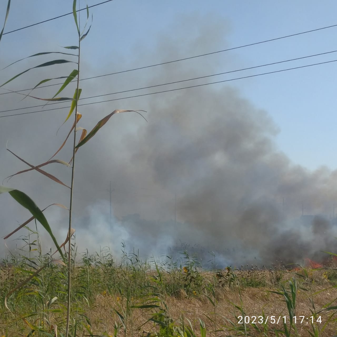  محصول القمح احترق.. السيطرة على حريق نشب بأرض زراعية بكفر الشيخ 