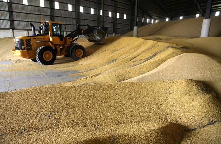  زيادة فى واردات القمح المحلى حتى الان 32 طنا عن العام الماضي