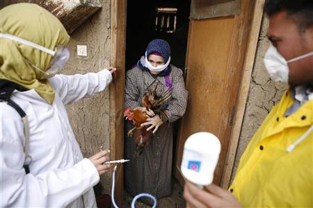  اعلان حالة الطوائ بعد ظهور حالة مصابة بإنفلونزا الطيور