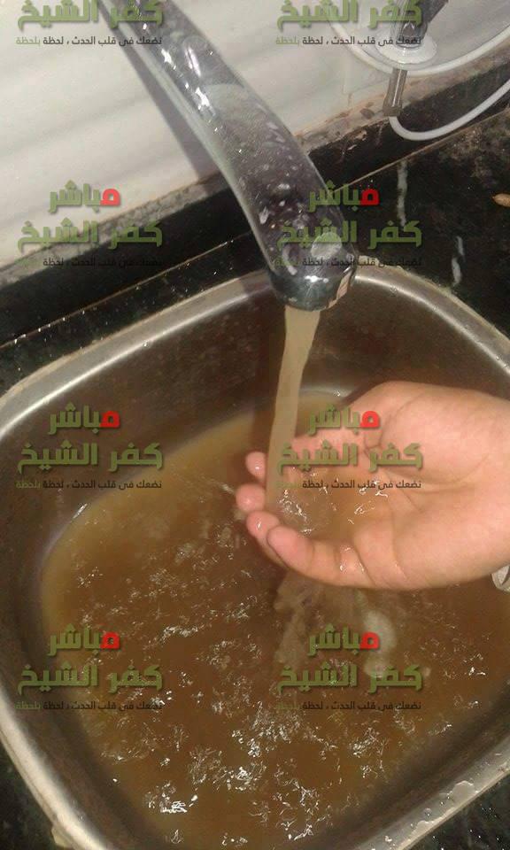  بالصور .. مواطن للمسئولين بكفر الشيخ أذا رضيتم هذه المياه لأولادكم نرضاها لأولادنا