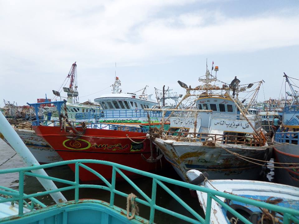  اضراب الصيادين ببرلس كفر الشيخ  عن العمل اعتراضا على قرار وزير النقل أدى لقلة المعروض من الأسماك
