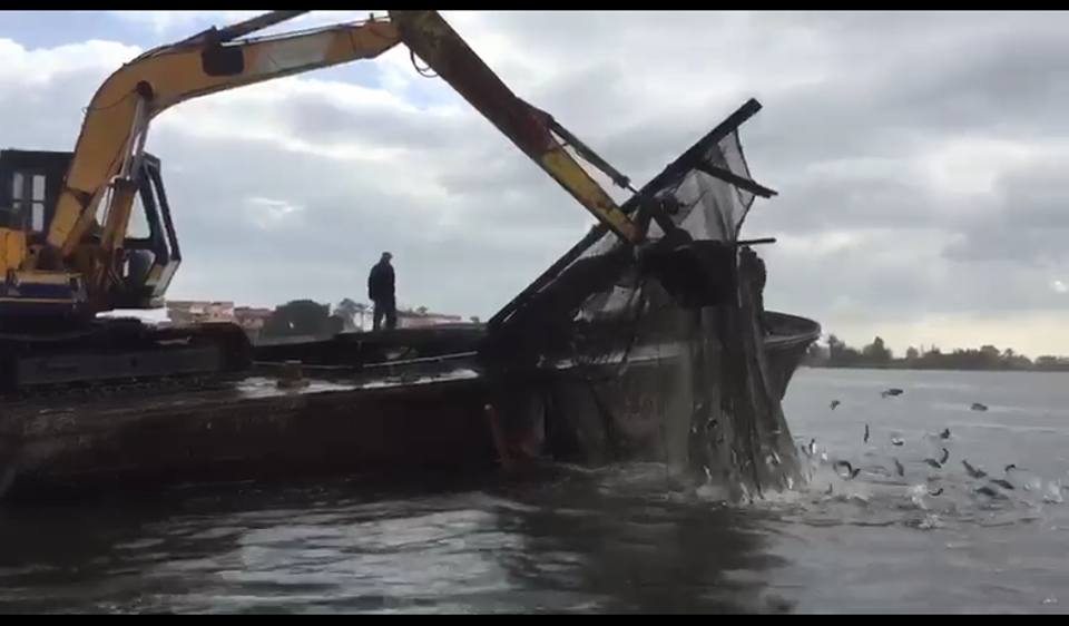  بالصور.. حملة لإزالة الأقفاص السمكية من نهر النيل بفوه