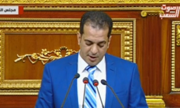 علاء سلام عضو مجلس النواب عن دائرة فوه ومطوبس