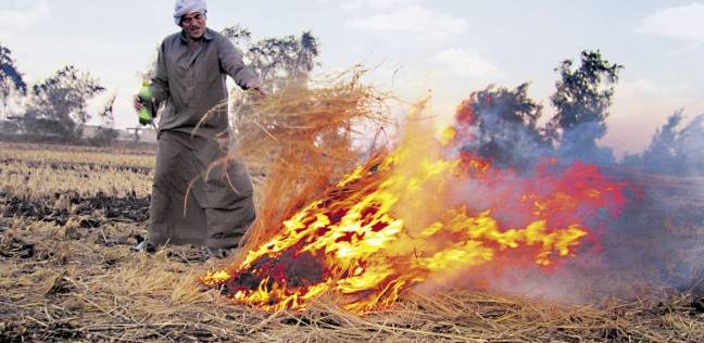  بالصور: حملة توعية  بالتعاون مع GIZ الألمانية لعدم حرق قش الأرز للحفاظ علي البيئة بكفر الشيخ