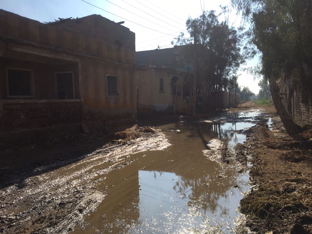  شكوى من غرق شوارع قرية أصف بكفر الشيخ بمياه الصرف الصحي 