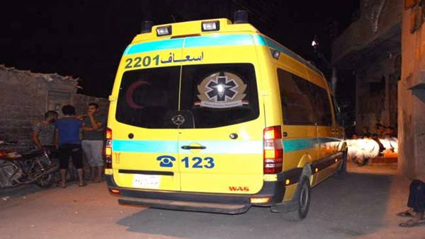  بالأسماء.. إصابة 7 أشخاص إثر مشاجرة داخل مصنع أعلاف بكفر الشيخ