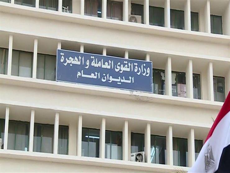  القوى العاملة ... تعيين 127 شابا بمحافظة كفر الشيخ