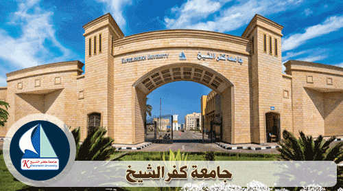  بالأسماء.. نتائج انتخابات اتحاد طلاب جامعة كفر الشيخ