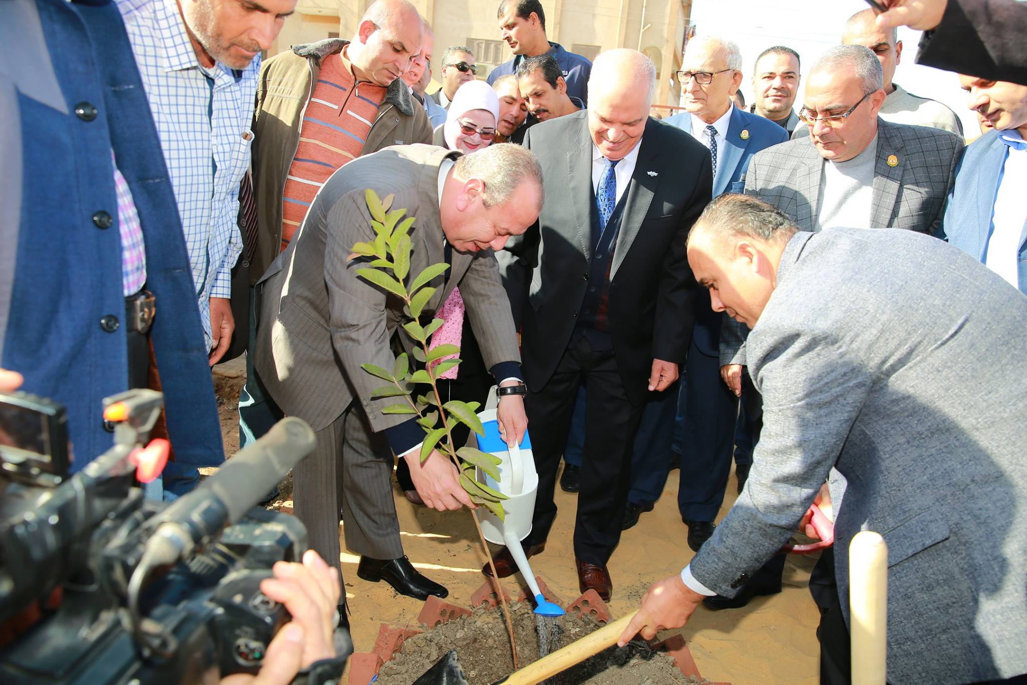 محافظ كفر الشيخ يطلق زراعة 3000 شجرة مثمرة من مدرسة الإعدادية القديمة للبنات