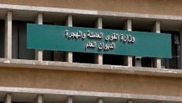  القوى العاملة تعلن تعيين 48 شابا بمحافظة كفر الشيخ
