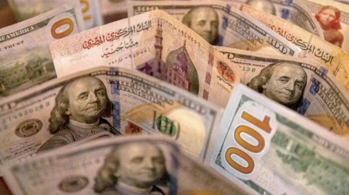  سعر الدولار بمصر اليوم  الخميس 1 فبراير 2024