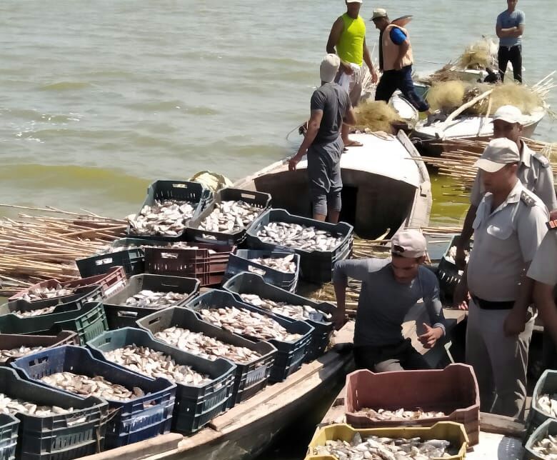  بالصور .. ضبط عدد من تجار الصيد الجائر فى حملة أمنية بكفر الشيخ 